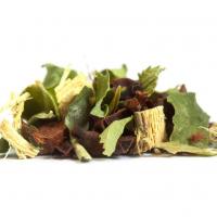 Dhyana serenite plantes 2