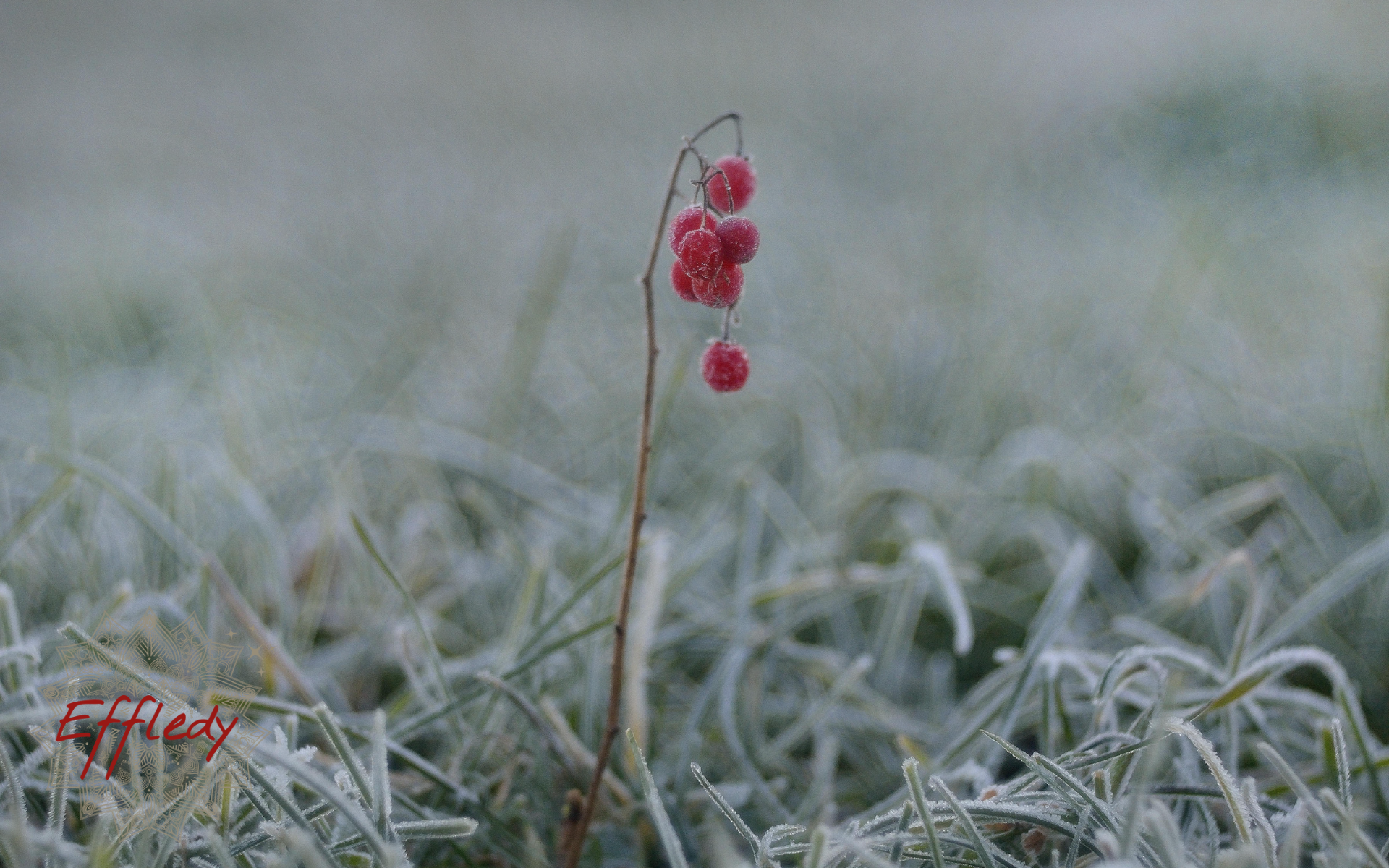 Eau hiver couv