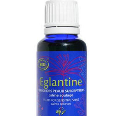 Eglantine2