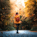 Saison automne 1